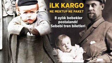 birinci kargo ne mektup ne paket 8 aylik bebekler postalandi sebep tren biletleri WPAy8iCD