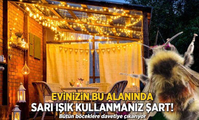 Bu ışık tüm börtü böceği topluyor! Konutunu seven sarısını kullansın, haşerelere davet 1 bu isik tum bortu bocegi topluyor konutunu seven sarisini kullansin haserelere davet RzMsJFif