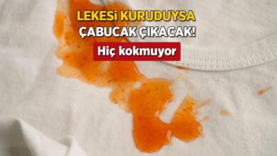 can sikan domates lekesini kokunden kaziyor soguk su kural hic kokmayacak hliChmWL