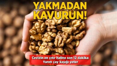 cevizi kavururken yakmaya son en citir firinda oluyor ne tadi kaciyor ne rengi WM1bUFRW
