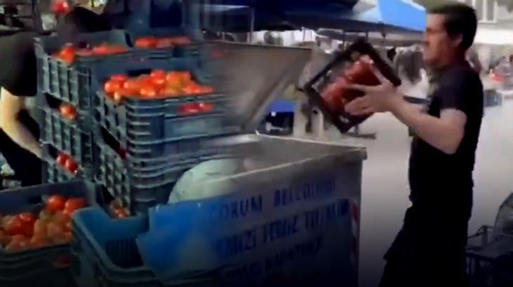 corumda domatesleri ucuza satmamak icin cope doken pazarciya milyonluk para cezasi n92TV7uP
