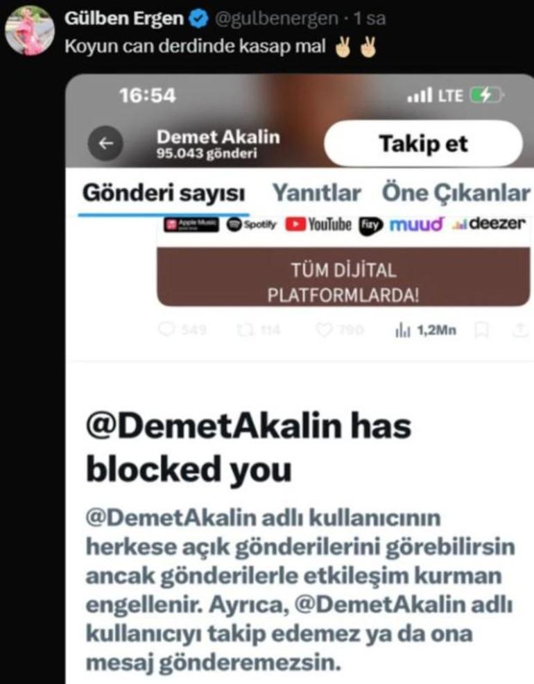 Demet Akalın ve Gülben Ergen ortasında sular durulmuyor! Toplumsal medyadan birbirlerine girdiler 4 demet akalin ve gulben ergen ortasinda sular durulmuyor toplumsal medyadan birbirlerine girdiler 2 wn3miG5n