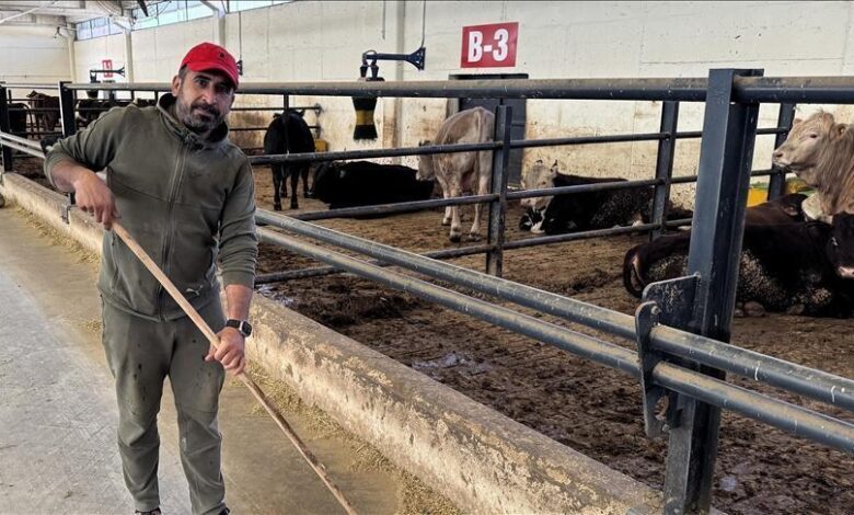 Devletten aldığı dayanakla besi çiftliği kurdu 1 devletten aldigi dayanakla besi ciftligi kurdu SxlvSFbs