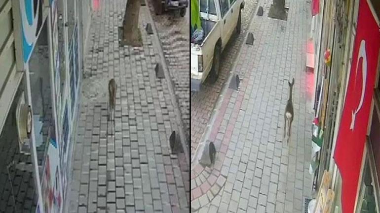 İlçenin tüm kameraları on kaydetti! Gören şaşkına döndü 2 ilcenin tum kameralari on kaydetti goren saskina dondu 0 WHMZ4d3z