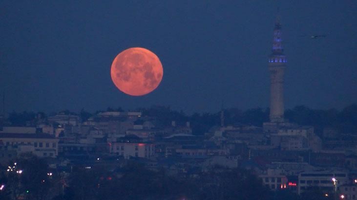 İstanbul'da baharın habercisi: Pembe Ay 1 istanbulda baharin habercisi pembe ay