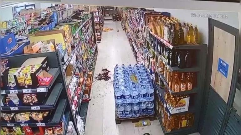 İstanbul'da sarsıntı anı: Köpek ve muhabbet kuşunun reaksiyonu kamerada 5 istanbulda sarsinti ani kopek ve muhabbet kusunun reaksiyonu kamerada 3