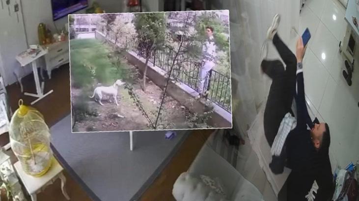 İstanbul'da sarsıntı anı: Köpek ve muhabbet kuşunun reaksiyonu kamerada 1 istanbulda sarsinti ani kopek ve muhabbet kusunun reaksiyonu kamerada g4ymCUcW