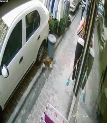 İstanbul'da sarsıntıdan yeni imajlar: Bayılan müşterisini kurtardı 9 istanbulda sarsintidan yeni imajlar bayilan musterisini kurtardi 7 gYKnDarR