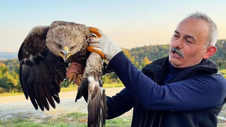 İstanbul'da şaşırtan keşif! Ot toplamaya giden vatandaş kartal buldu 2 istanbulda sasirtan kesif ot toplamaya giden vatandas kartal buldu 0 Nrzqb5Mv