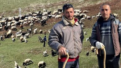 kentte coban krizi 70 bin tl maasa karsin bulamiyoruz HwJcLO51