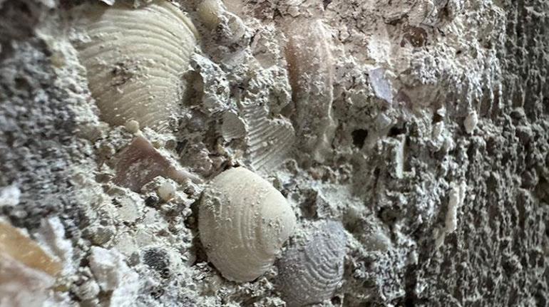 Küçükçekmece'de 6.2'lik zelzelede 6 katlı binanın kolanları patladı 4 kucukcekmecede 62lik zelzelede 6 katli binanin kolanlari patladi 2 Mpde4Tfj