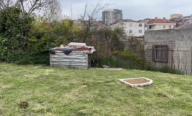 kus besleyen cocuk aractan rastgele ateslenen kursunla yaralandi T233layq