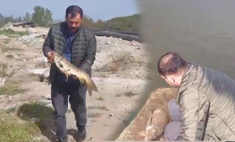 Oltasına takılanı görünce şaşkına döndü! Çabucak suya geri attı 1 oltasina takilani gorunce saskina dondu cabucak suya geri atti VagMHBVT