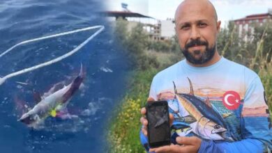 oltaya geldi amator balikci soke oldu herkes bizim kadar vicdanli cikmayabilir UPOJgene