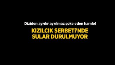 sibel tascioglu takipten cikti dizinin senaristinden aciklama geldi cocukca buluyorum RmOw3XrW