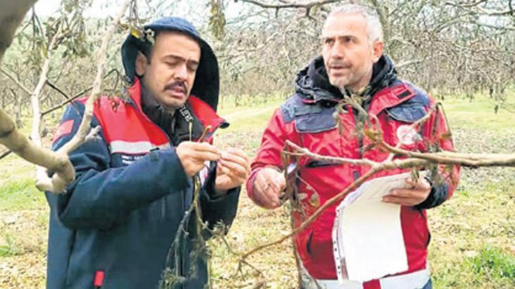Sigorta ödemeleri nasıl olacak? 1 sigorta odemeleri nasil olacak vIQFc1ap