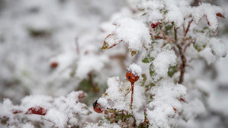 Son dakika... Ankara nisanda beyaza büründü, okullar tatil edildi! Meteoroloji 25 kenti 'sarı' kodla uyardı 3 son dakika ankara nisanda beyaza burundu okullar tatil edildi meteoroloji 25 kenti sari kodla 3mJiF4Tp