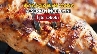 tavugun beyaz cizgileri varsa atmayin sebebi bozulma degil yagmis Khx1ycWy