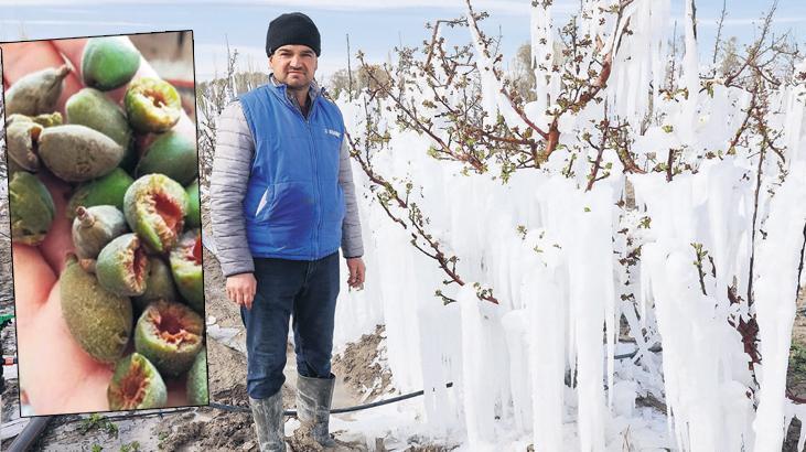 tezgahi don vurdu ilk sefer meyve ithali kelam konusu VaRpyi9W