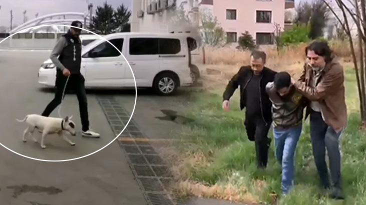 Türkiye'de yalnızca 30 var! 10 bin Euro'luk köpeği çalan şahıs yakalandı 1 turkiyede yalnizca 30 var 10 bin euroluk kopegi calan sahis yakalandi