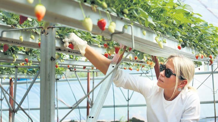 ‘Uygun şartlarda üretimde kalırım’ 1 uygun sartlarda uretimde kalirim sXC5rvHy