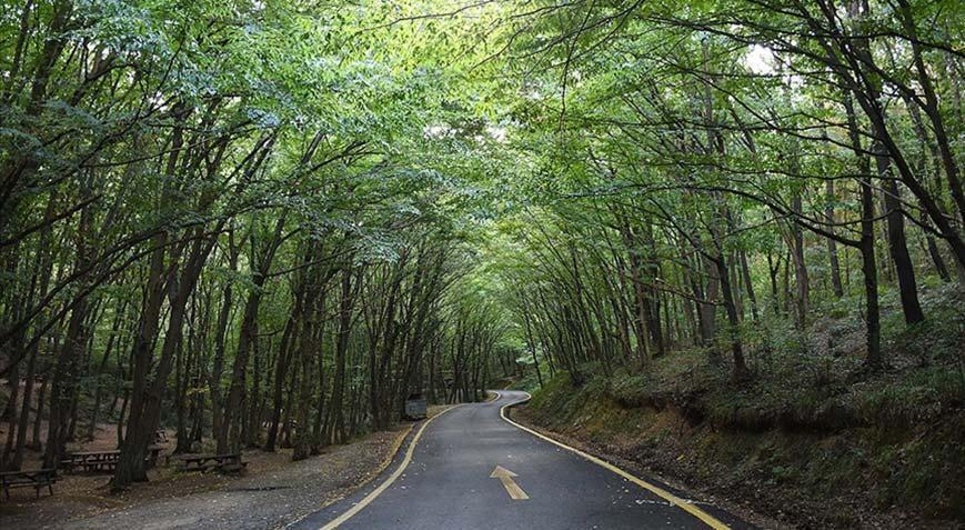 Valilik genelge yayımladı! Antalya’da ormanlara giriş yasaklandı