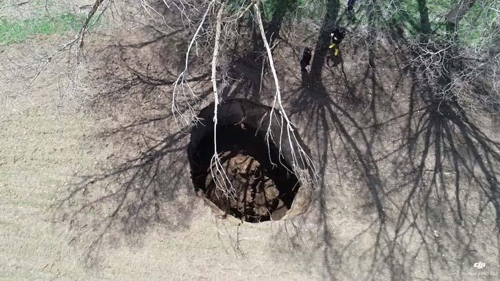 10 gün evvel ekim yaptığı tarlasında ortaya çıktı! Gözlerine inanamadı 12 10 gun evvel ekim yaptigi tarlasinda ortaya cikti gozlerine inanamadi 10 1PUgkNLu