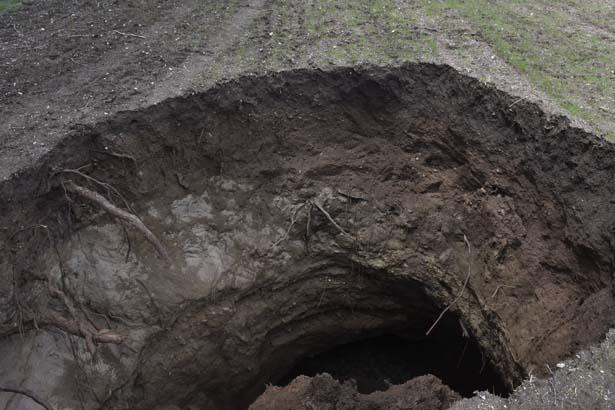 10 gün evvel ekim yaptığı tarlasında ortaya çıktı! Gözlerine inanamadı 10 10 gun evvel ekim yaptigi tarlasinda ortaya cikti gozlerine inanamadi 8 USTZ5m7r