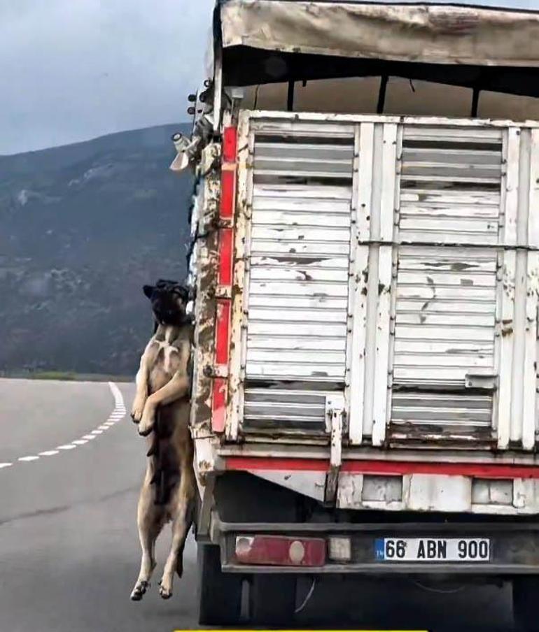10 saniyelik imgesi internete düştü, Türkiye'de linç yedi! Gerçek değişik çıktı 2 10 saniyelik imgesi internete dustu turkiyede linc yedi gercek degisik cikti 0 LsXeqOu4