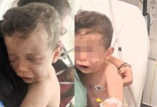 2 yasindaki bebek annesinin erkek arkadasi tarafindan olduresiye dovuldu mjgASrIT