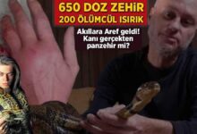 650 doz zehir 200 olumcul isirik akillara aref geldi kani hakikaten panzehir mi mYFAZeqt