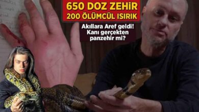 650 doz zehir 200 olumcul isirik akillara aref geldi kani hakikaten panzehir mi mYFAZeqt