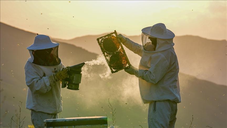 “Arıcılık rotaları” turizme katkı sağlayacak