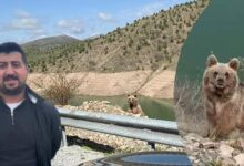 ayi goruntuleme macerasinin sonu kamerayi acip yanina yaklasti YAi27qVK