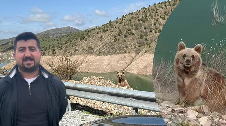 Ayı görüntüleme macerasının sonu! Kamerayı açıp yanına yaklaştı 1 ayi goruntuleme macerasinin sonu kamerayi acip yanina yaklasti YAi27qVK