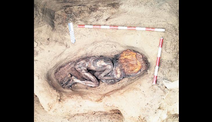 Beş bin yıllık kalıntı bulundu 1 bes bin yillik kalinti bulundu EYiKnee7