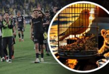 besiktastan fenerbahce maci sonrasi survivor ve jose mourinho gondermesi yIc8bC6c