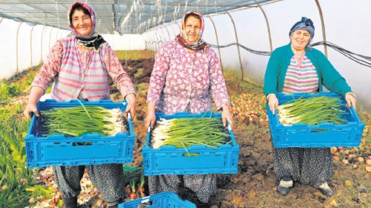 Besin güvenliği için ‘gençlik’ harekâtı! 1 besin guvenligi icin genclik harek ti 6F4azL3M