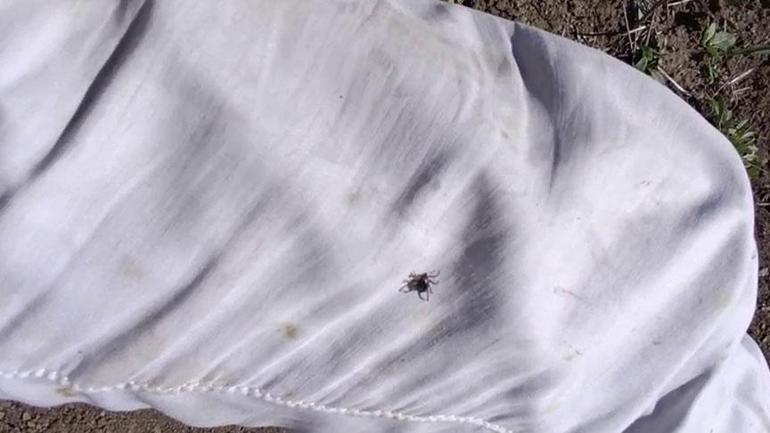 Bir kent diken üstünde! 10 dakika içinde kabusu yaşadı: Çoraplarımızı paçamızın üzerine çekiyoruz 2 bir kent diken ustunde 10 dakika icinde kabusu yasadi coraplarimizi pacamizin uzerine cekiyoruz 0 i6GHvGzu