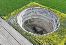 bir kenti yutuyor hepsi devasa buyuklukte etraf vilayetlere yayildi 20si yeni kesfedildi qHQ2PkEK