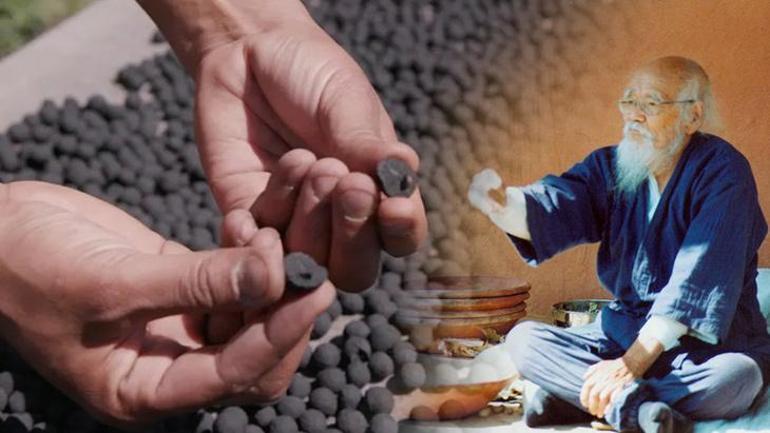 Çöle çeviren de yeşerten de kömür! Siyah toplar devrede: Buharlı trenin yarasını sarıyor 3 cole ceviren de yeserten de komur siyah toplar devrede buharli trenin yarasini sariyor 1 6skcaasI