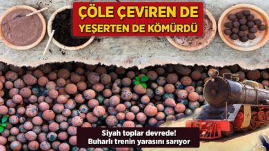cole ceviren de yeserten de komur siyah toplar devrede buharli trenin yarasini sariyor Bu764d5P