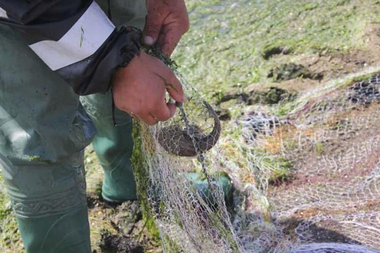 Dedesinden öğrendiği sistemle 50 kilo balık yakalıyor! 5 dedesinden ogrendigi sistemle 50 kilo balik yakaliyor 3 QDnNvhD6
