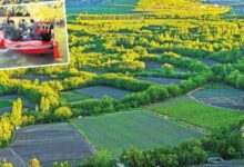 dunya mirasina zehir ektiler hevsel bahcelerine 2 milyar tllik kenevir ekmisler K8pzxip3