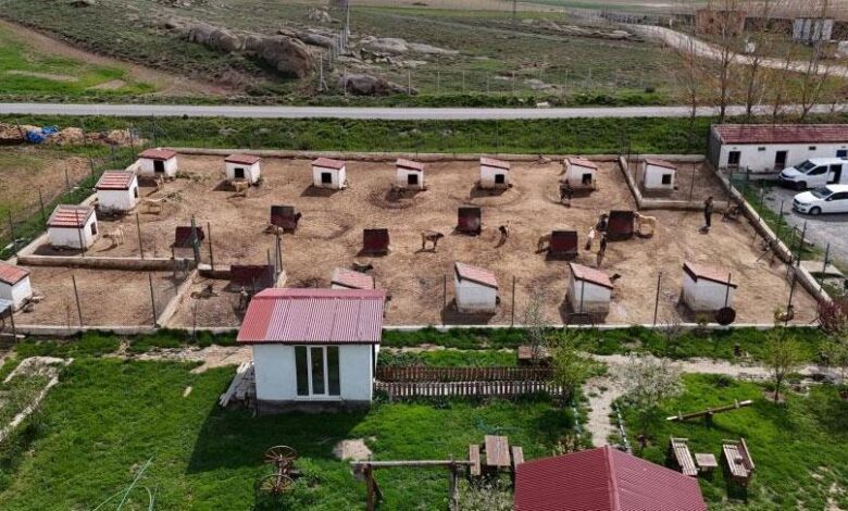 Dünyada eşi gibisi yok! Ünü ülke hudutlarını aştı: Suudi Arabistan, Katar, BAE peşinde... 1 dunyada esi gibisi yok unu ulke hudutlarini asti suudi arabistan katar bae pesinde yPI6rjAK