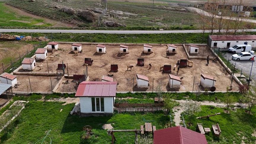 Dünyada eşi gibisi yok! Ünü ülke hudutlarını aştı: Suudi Arabistan, Katar, BAE peşinde…