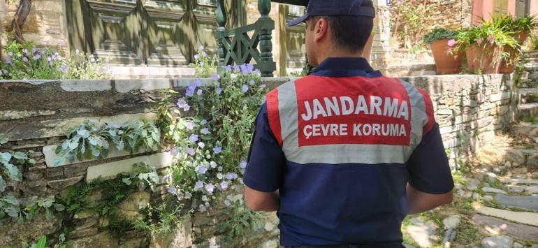 Dünyada yalnızca Türkiye'de bulunuyor! Jandarma başından ayrılmıyor 2 dunyada yalnizca turkiyede bulunuyor jandarma basindan ayrilmiyor 0