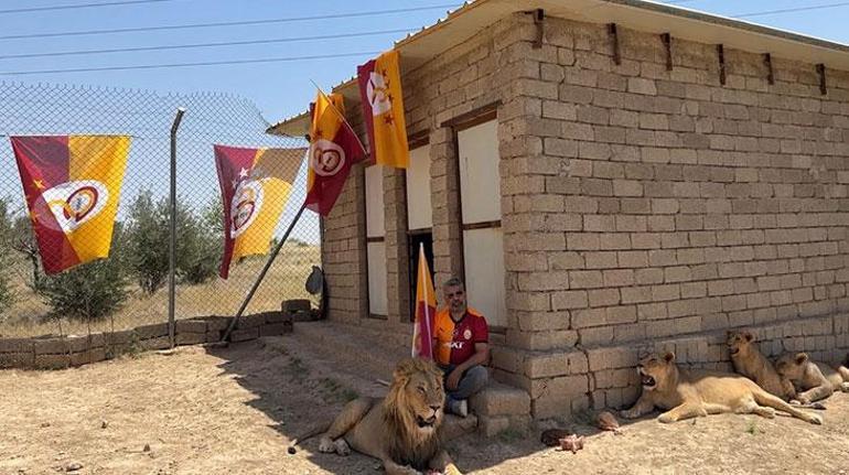 Galatasaraylı taraftar, şampiyonluğu aslanlarıyla kutladı 2 galatasarayli taraftar sampiyonlugu aslanlariyla kutladi 0