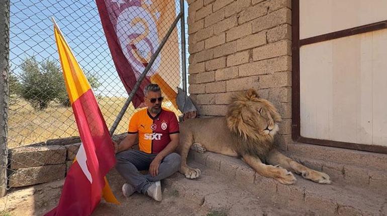 Galatasaraylı taraftar, şampiyonluğu aslanlarıyla kutladı 3 galatasarayli taraftar sampiyonlugu aslanlariyla kutladi 1 6bjCYTXF