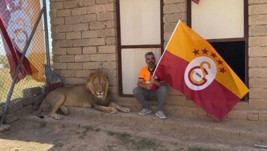 galatasarayli taraftar sampiyonlugu aslanlariyla kutladi bJVp9fLQ